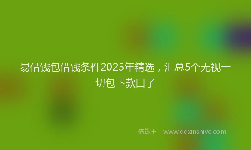 易借钱包借钱条件2025年精选，汇总5个无视一切包下款口子