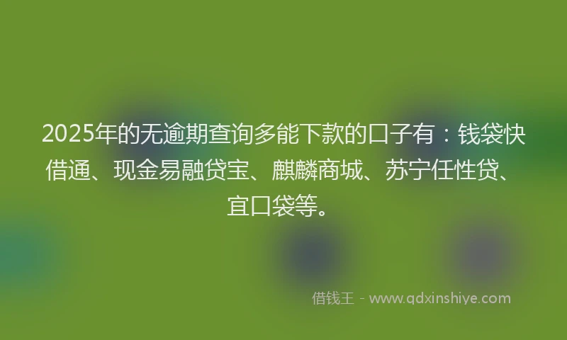 2025年的无逾期查询多能下款的口子有：钱袋快借通、现金易融贷宝、麒麟商城、苏宁任性贷、宜口袋等。