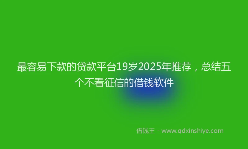 最容易下款的贷款平台19岁2025年推荐，总结五个不看征信的借钱软件