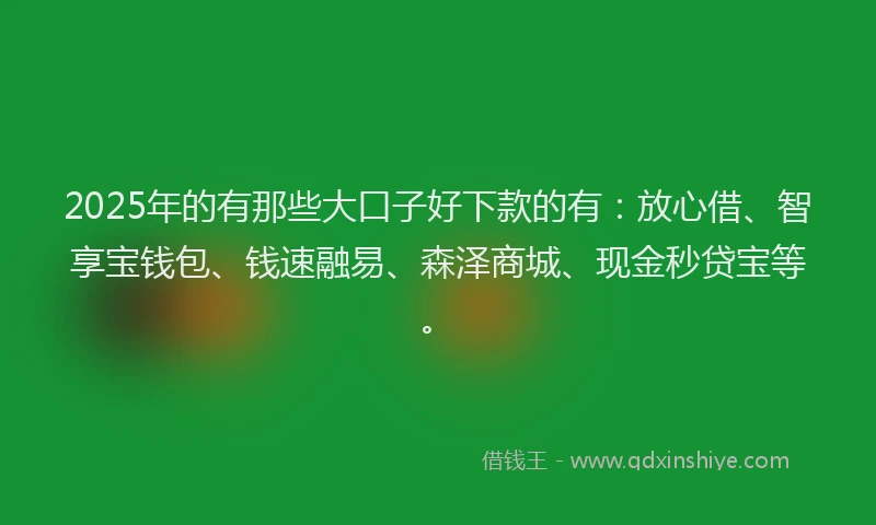 2025年的有那些大口子好下款的有：放心借、智享宝钱包、钱速融易、森泽商城、现金秒贷宝等。