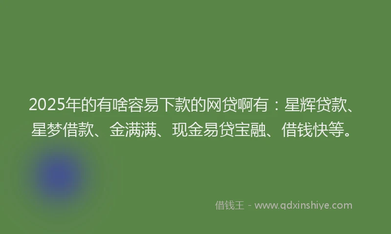 2025年的有啥容易下款的网贷啊有：星辉贷款、星梦借款、金满满、现金易贷宝融、借钱快等。