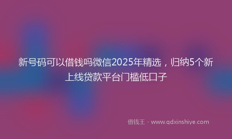 新号码可以借钱吗微信2025年精选，归纳5个新上线贷款平台门槛低口子