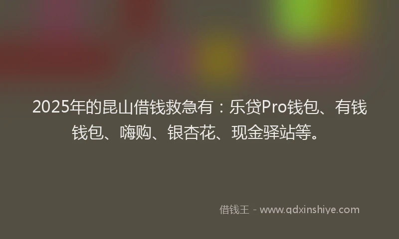 2025年的昆山借钱救急有：乐贷Pro钱包、有钱钱包、嗨购、银杏花、现金驿站等。