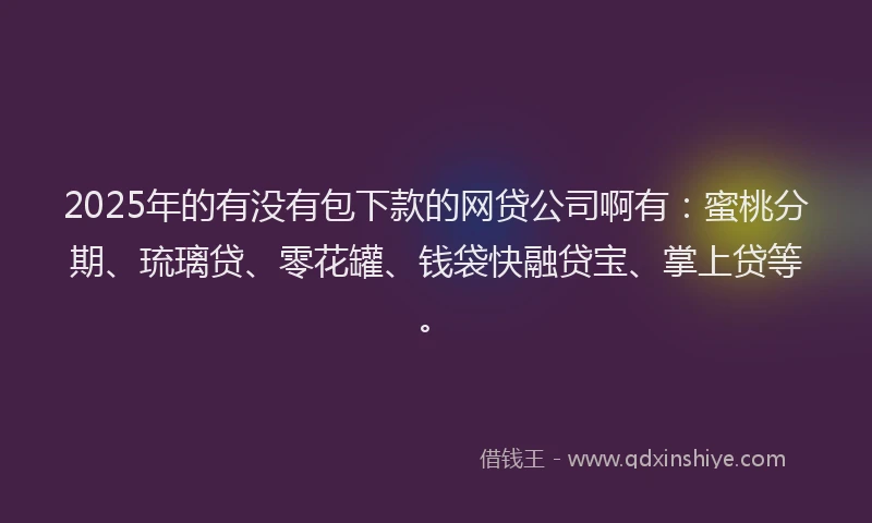 2025年的有没有包下款的网贷公司啊有：蜜桃分期、琉璃贷、零花罐、钱袋快融贷宝、掌上贷等。