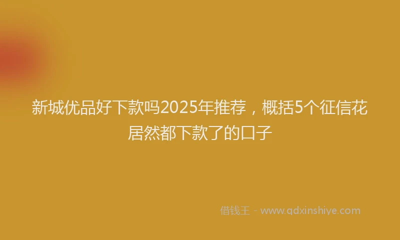 新城优品好下款吗2025年推荐，概括5个征信花居然都下款了的口子