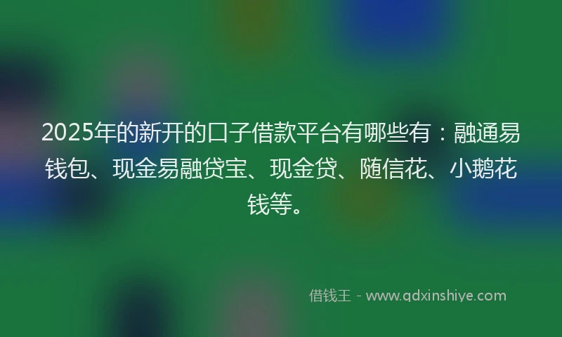 2025年的新开的口子借款平台有哪些有：融通易钱包、现金易融贷宝、现金贷、随信花、小鹅花钱等。