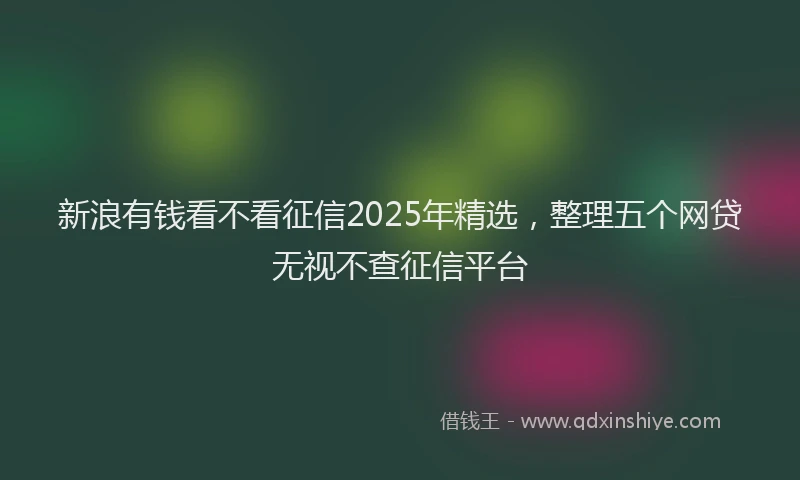 新浪有钱看不看征信2025年精选，整理五个网贷无视不查征信平台