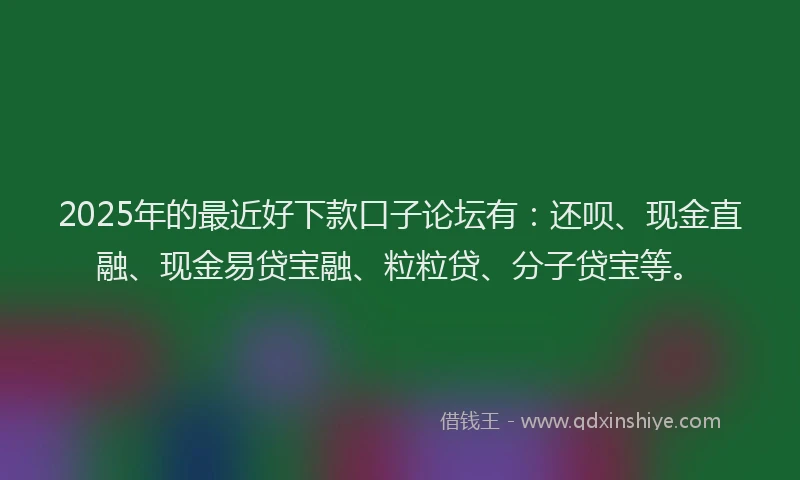 2025年的最近好下款口子论坛有：还呗、现金直融、现金易贷宝融、粒粒贷、分子贷宝等。