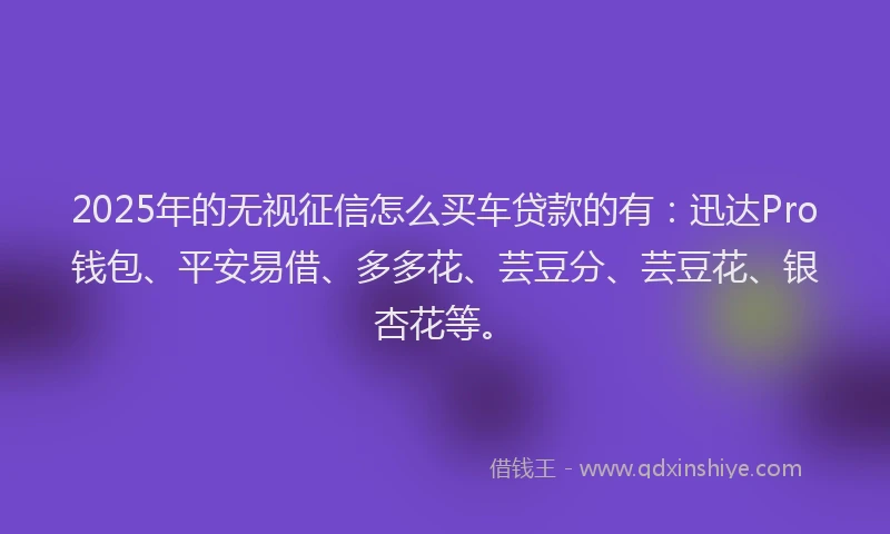 2025年的无视征信怎么买车贷款的有：迅达Pro钱包、平安易借、多多花、芸豆分、芸豆花、银杏花等。