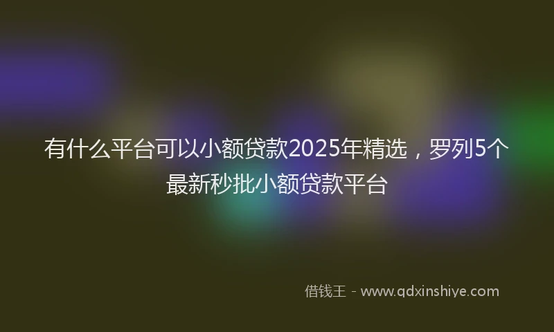 有什么平台可以小额贷款2025年精选，罗列5个最新秒批小额贷款平台