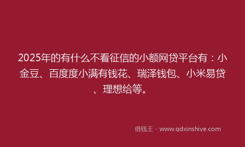 2025年的有什么不看征信的小额网贷平台有：小金豆、百度度小满有钱花、瑞泽钱包、小米易贷、理想给等。