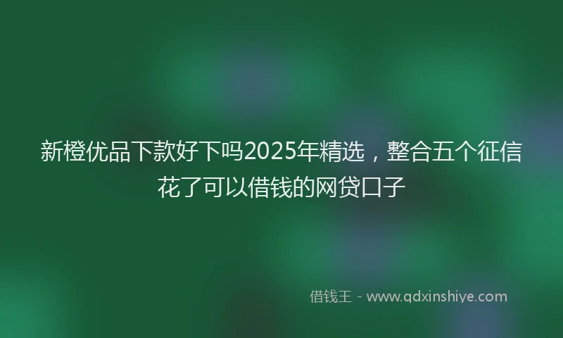 新橙优品下款好下吗2025年精选，整合五个征信花了可以借钱的网贷口子