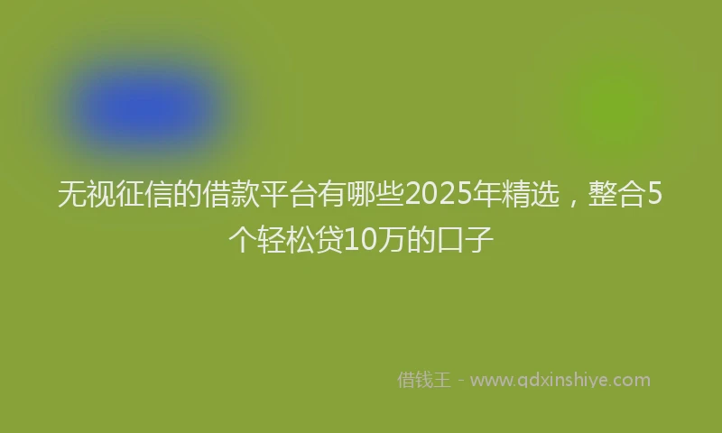 无视征信的借款平台有哪些2025年精选，整合5个轻松贷10万的口子