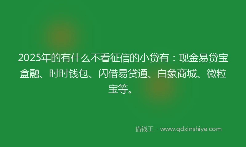 2025年的有什么不看征信的小贷有：现金易贷宝盒融、时时钱包、闪借易贷通、白象商城、微粒宝等。
