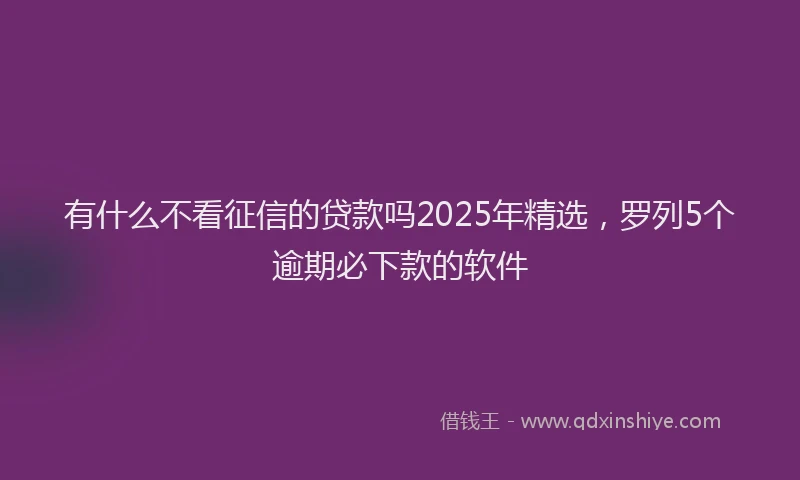有什么不看征信的贷款吗2025年精选，罗列5个逾期必下款的软件