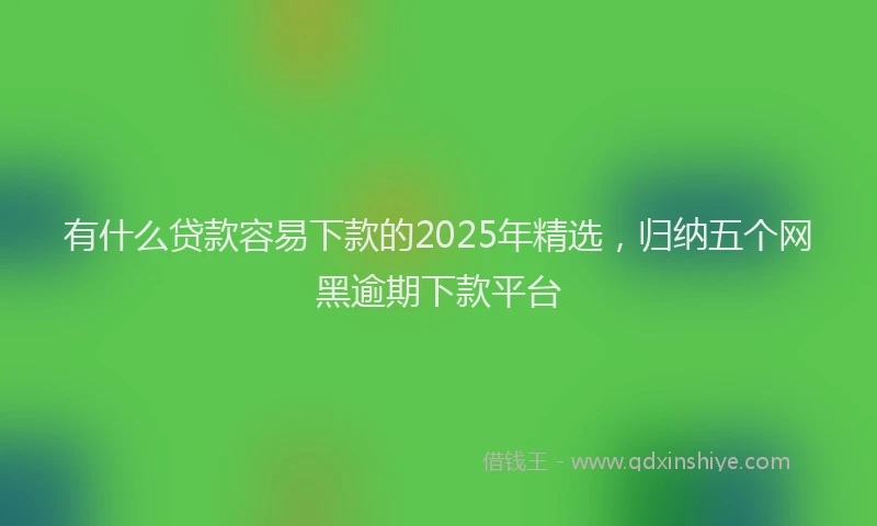 有什么贷款容易下款的2025年精选，归纳五个网黑逾期下款平台