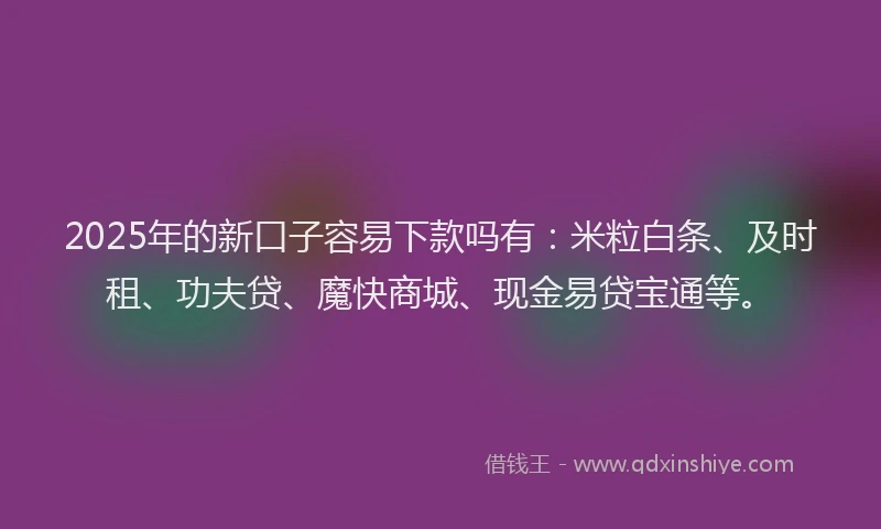 2025年的新口子容易下款吗有：米粒白条、及时租、功夫贷、魔快商城、现金易贷宝通等。
