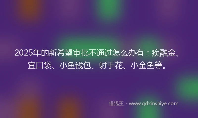 2025年的新希望审批不通过怎么办有：疾融金、宜口袋、小鱼钱包、射手花、小金鱼等。