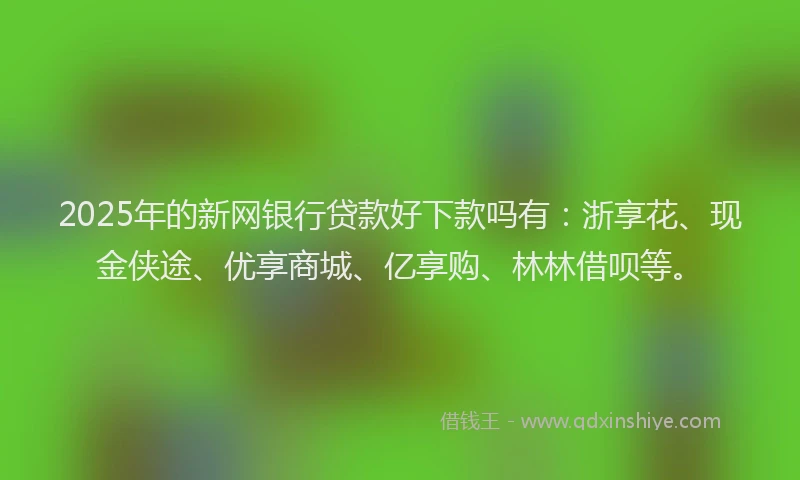 2025年的新网银行贷款好下款吗有：浙享花、现金侠途、优享商城、亿享购、林林借呗等。