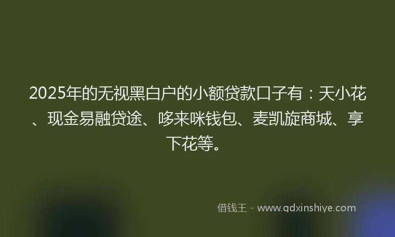 2025年的无视黑白户的小额贷款口子有：天小花、现金易融贷途、哆来咪钱包、麦凯旋商城、享下花等。