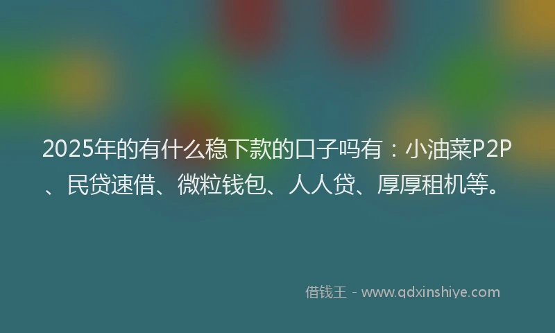 2025年的有什么稳下款的口子吗有：小油菜P2P、民贷速借、微粒钱包、人人贷、厚厚租机等。