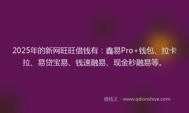 2025年的新网旺旺借钱有：鑫易Pro+钱包、拉卡拉、易贷宝易、钱速融易、现金秒融易等。