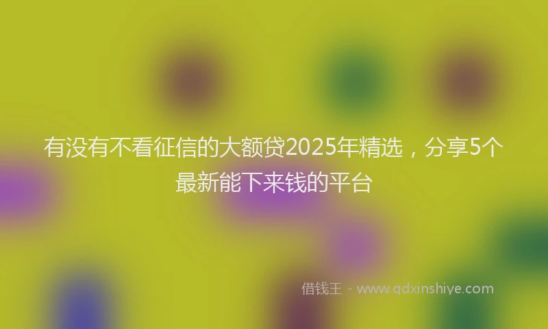 有没有不看征信的大额贷2025年精选，分享5个最新能下来钱的平台