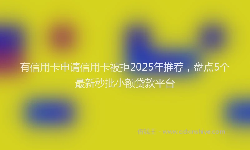 有信用卡申请信用卡被拒2025年推荐，盘点5个最新秒批小额贷款平台