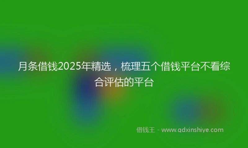 月条借钱2025年精选，梳理五个借钱平台不看综合评估的平台