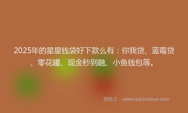2025年的星星钱袋好下款么有：你我贷、蓝莓贷、零花罐、现金秒到融、小鱼钱包等。
