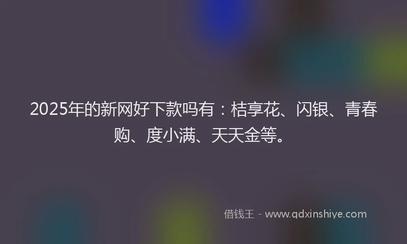 2025年的新网好下款吗有：桔享花、闪银、青春购、度小满、天天金等。