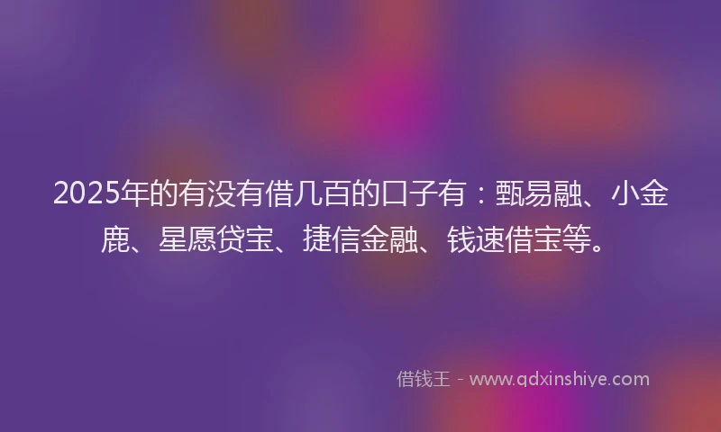 2025年的有没有借几百的口子有：甄易融、小金鹿、星愿贷宝、捷信金融、钱速借宝等。