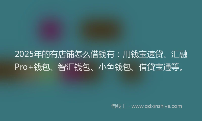 2025年的有店铺怎么借钱有：用钱宝速贷、汇融Pro+钱包、智汇钱包、小鱼钱包、借贷宝通等。