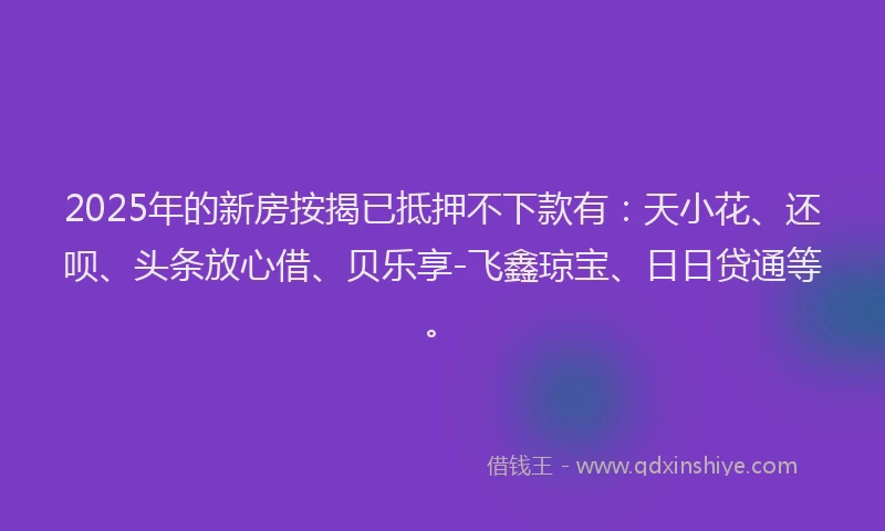 2025年的新房按揭已抵押不下款有：天小花、还呗、头条放心借、贝乐享-飞鑫琼宝、日日贷通等。