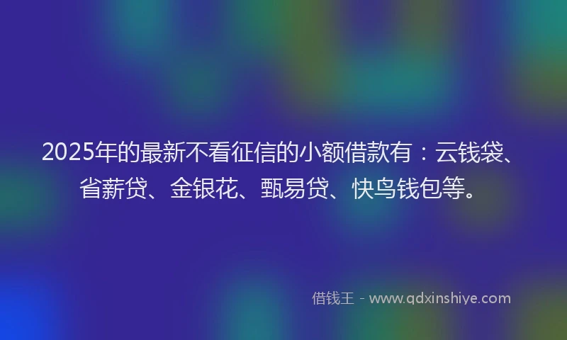 2025年的最新不看征信的小额借款有：云钱袋、省薪贷、金银花、甄易贷、快鸟钱包等。
