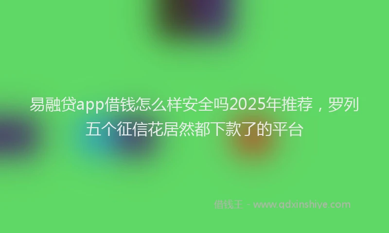 易融贷app借钱怎么样安全吗2025年推荐，罗列五个征信花居然都下款了的平台