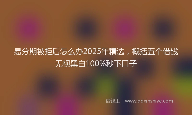 易分期被拒后怎么办2025年精选，概括五个借钱无视黑白100%秒下口子