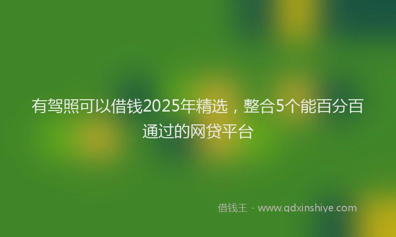 有驾照可以借钱2025年精选，整合5个能百分百通过的网贷平台