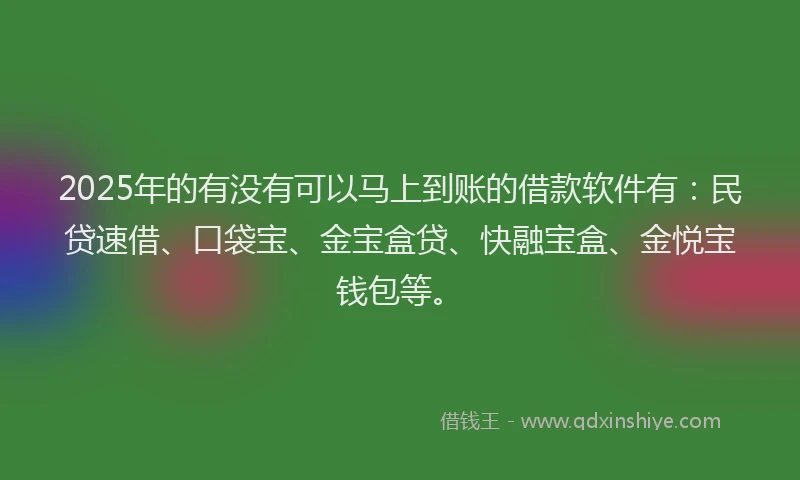2025年的有没有可以马上到账的借款软件有：民贷速借、口袋宝、金宝盒贷、快融宝盒、金悦宝钱包等。