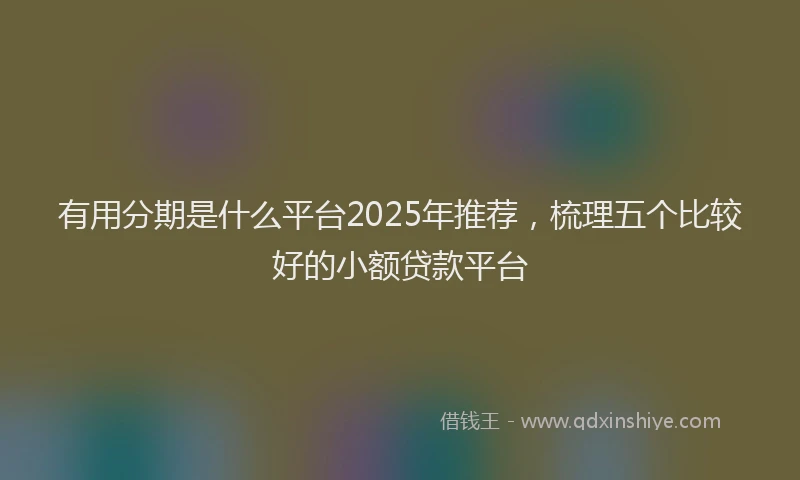 有用分期是什么平台2025年推荐，梳理五个比较好的小额贷款平台