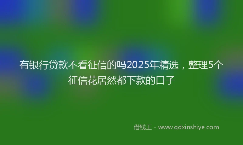 有银行贷款不看征信的吗2025年精选，整理5个征信花居然都下款的口子