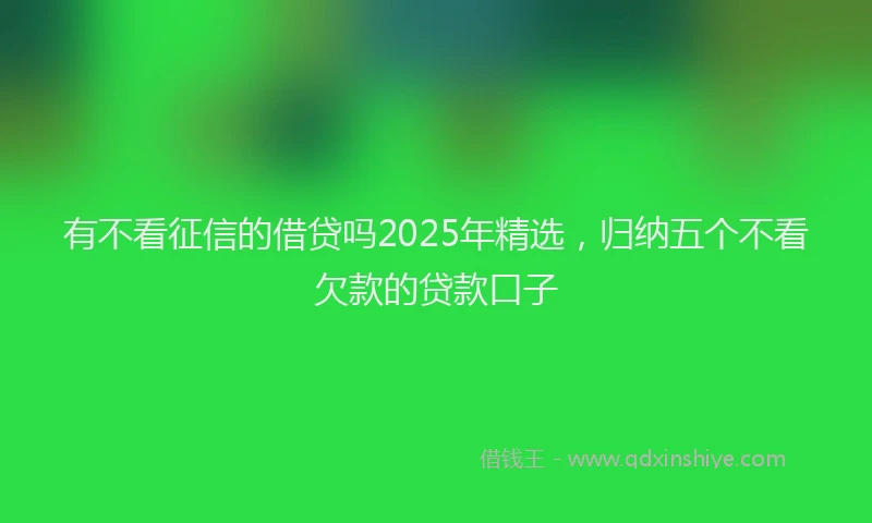 有不看征信的借贷吗2025年精选，归纳五个不看欠款的贷款口子