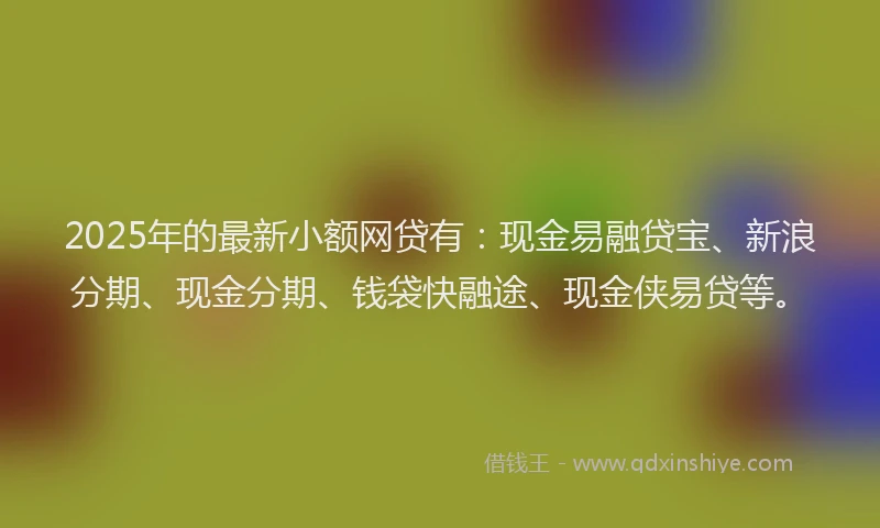 2025年的最新小额网贷有：现金易融贷宝、新浪分期、现金分期、钱袋快融途、现金侠易贷等。
