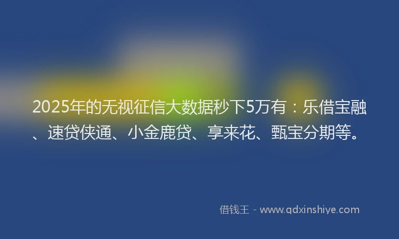 2025年的无视征信大数据秒下5万有：乐借宝融、速贷侠通、小金鹿贷、享来花、甄宝分期等。