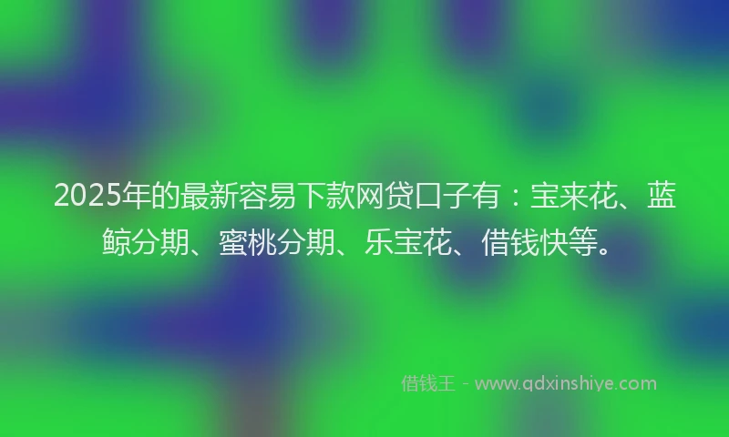 2025年的最新容易下款网贷口子有：宝来花、蓝鲸分期、蜜桃分期、乐宝花、借钱快等。