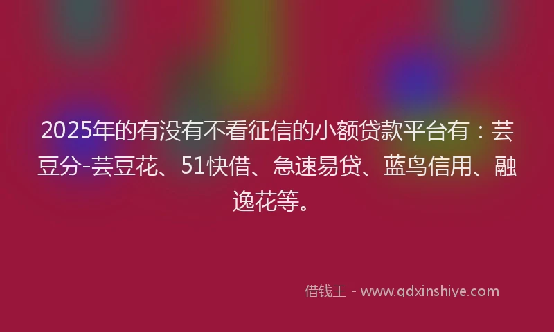 2025年的有没有不看征信的小额贷款平台有：芸豆分-芸豆花、51快借、急速易贷、蓝鸟信用、融逸花等。