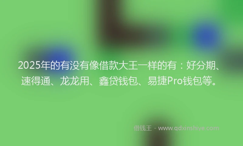2025年的有没有像借款大王一样的有：好分期、速得通、龙龙用、鑫贷钱包、易捷Pro钱包等。