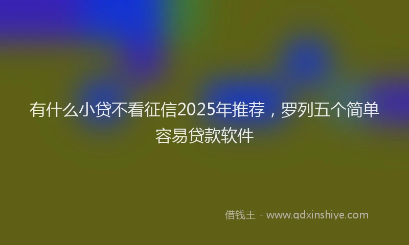 有什么小贷不看征信2025年推荐，罗列五个简单容易贷款软件