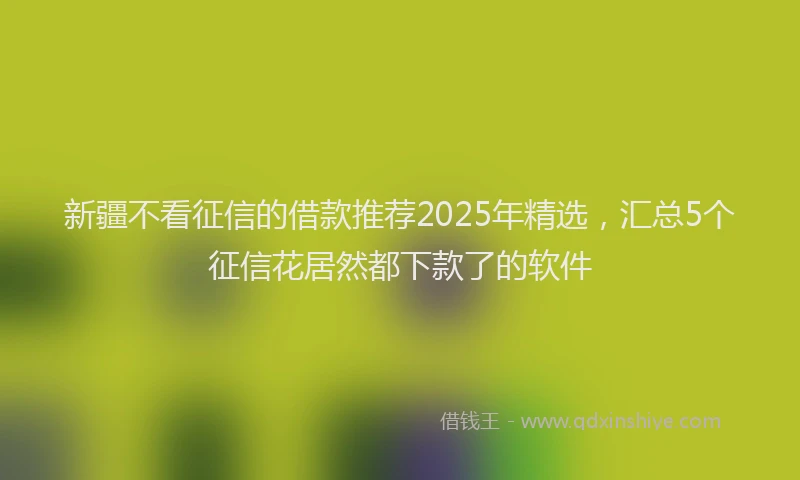 新疆不看征信的借款推荐2025年精选，汇总5个征信花居然都下款了的软件