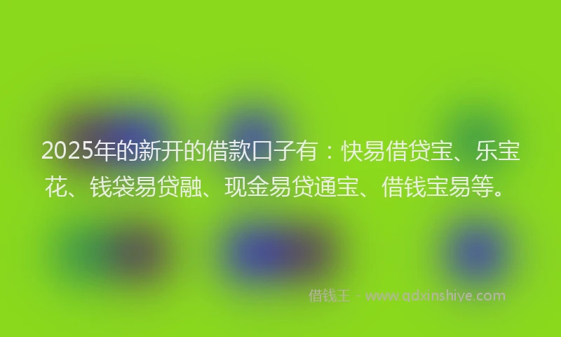 2025年的新开的借款口子有：快易借贷宝、乐宝花、钱袋易贷融、现金易贷通宝、借钱宝易等。